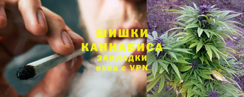 omg ТОР  Губкин  Каннабис OG Kush 